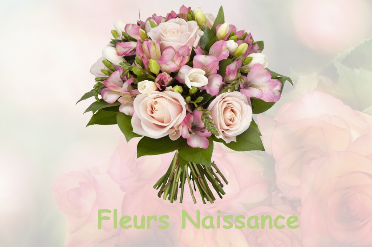 fleurs naissance CHATEAUNEUF-VAL-DE-BARGIS